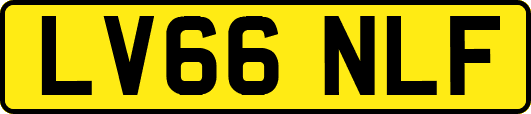 LV66NLF