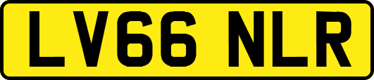 LV66NLR