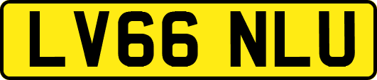 LV66NLU