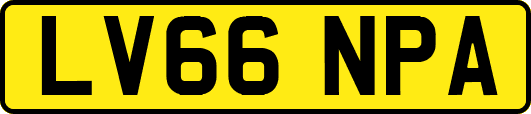 LV66NPA