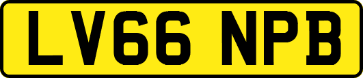 LV66NPB