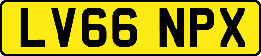 LV66NPX