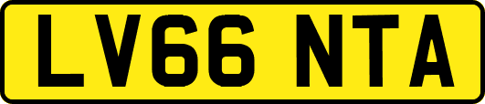 LV66NTA