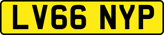LV66NYP
