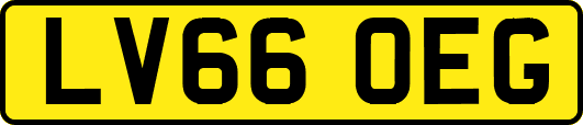 LV66OEG