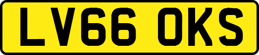 LV66OKS