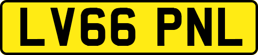 LV66PNL