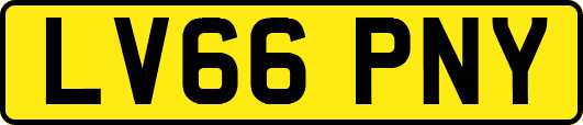 LV66PNY