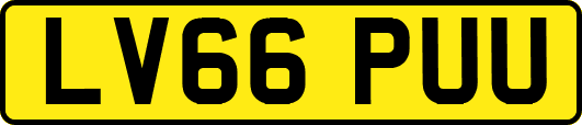 LV66PUU