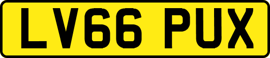 LV66PUX