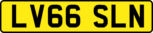 LV66SLN