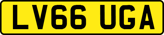LV66UGA