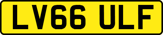 LV66ULF