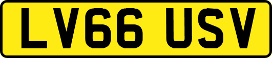 LV66USV