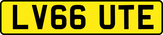 LV66UTE