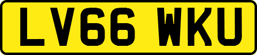 LV66WKU