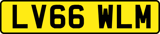 LV66WLM