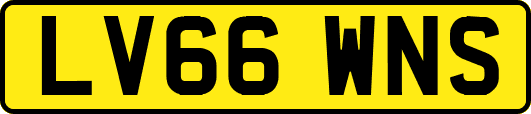 LV66WNS