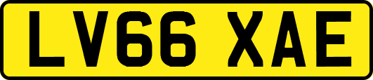LV66XAE