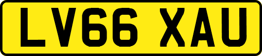 LV66XAU