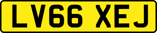 LV66XEJ