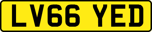 LV66YED