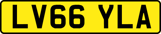 LV66YLA