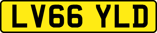 LV66YLD