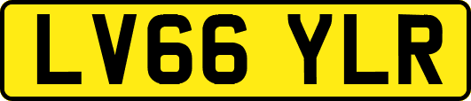 LV66YLR