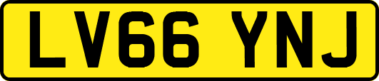 LV66YNJ