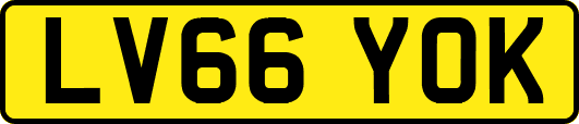 LV66YOK