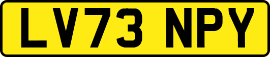 LV73NPY