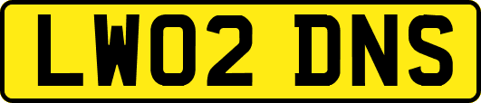 LW02DNS