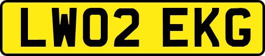 LW02EKG