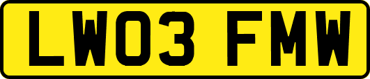 LW03FMW