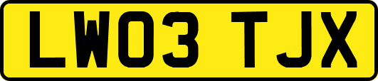 LW03TJX