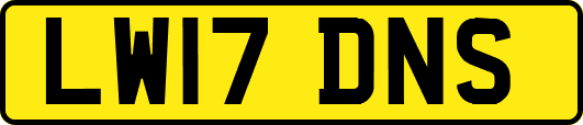 LW17DNS
