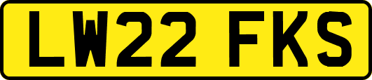 LW22FKS