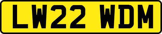LW22WDM