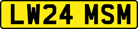 LW24MSM
