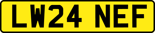 LW24NEF