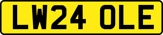 LW24OLE