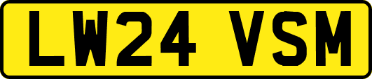 LW24VSM