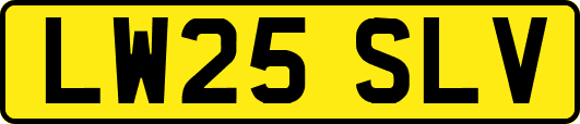 LW25SLV