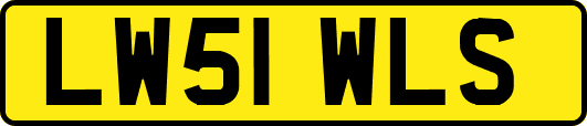 LW51WLS