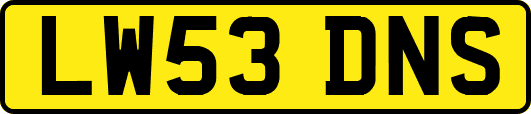 LW53DNS