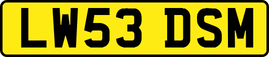 LW53DSM
