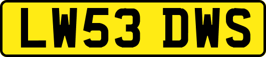 LW53DWS