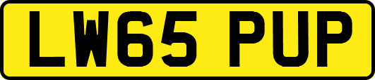 LW65PUP