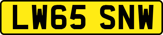 LW65SNW